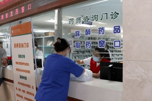 山东省中医院成立蒲公英药师志愿服务队并举办中药科普活动