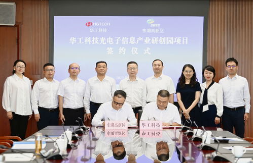 纺织科学技术研究服务 产业动态与未来展望