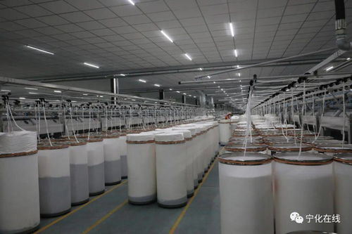 宁化长宁纺织 以科技创新为引擎，激活产业新动能